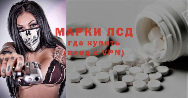 спиды Магас