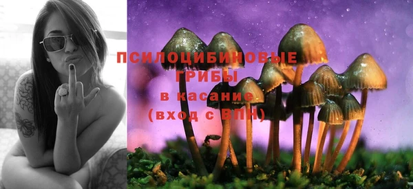 стафф Магадан