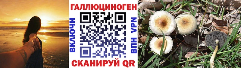 Псилоцибиновые грибы MAGIC MUSHROOMS Калуга